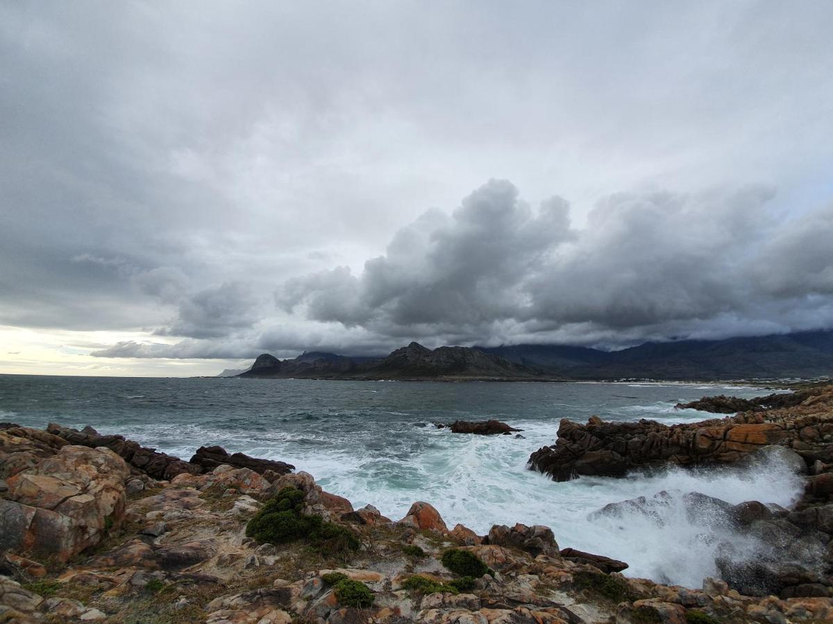Apartmán Kleinblom In Pringle Pringle Bay Exteriér fotografie