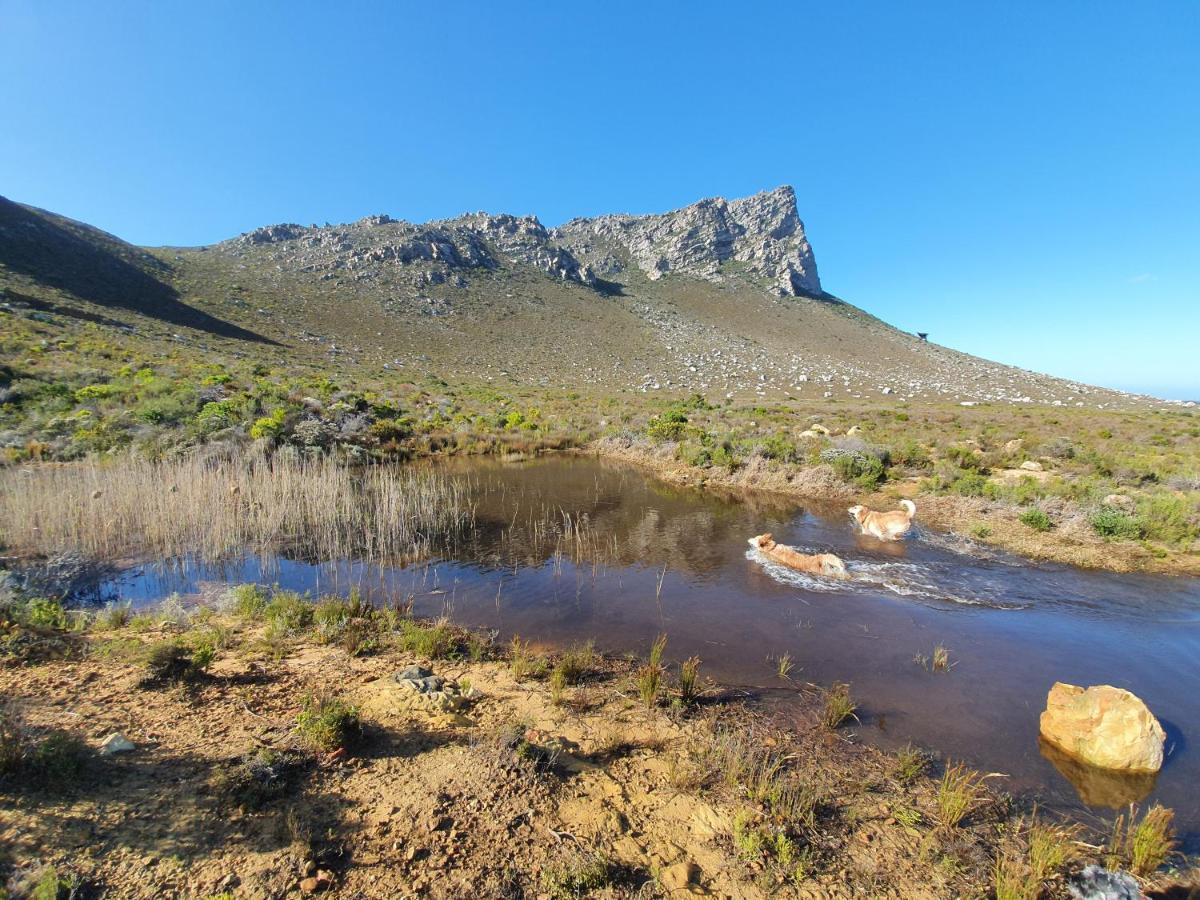 Apartmán Kleinblom In Pringle Pringle Bay Exteriér fotografie