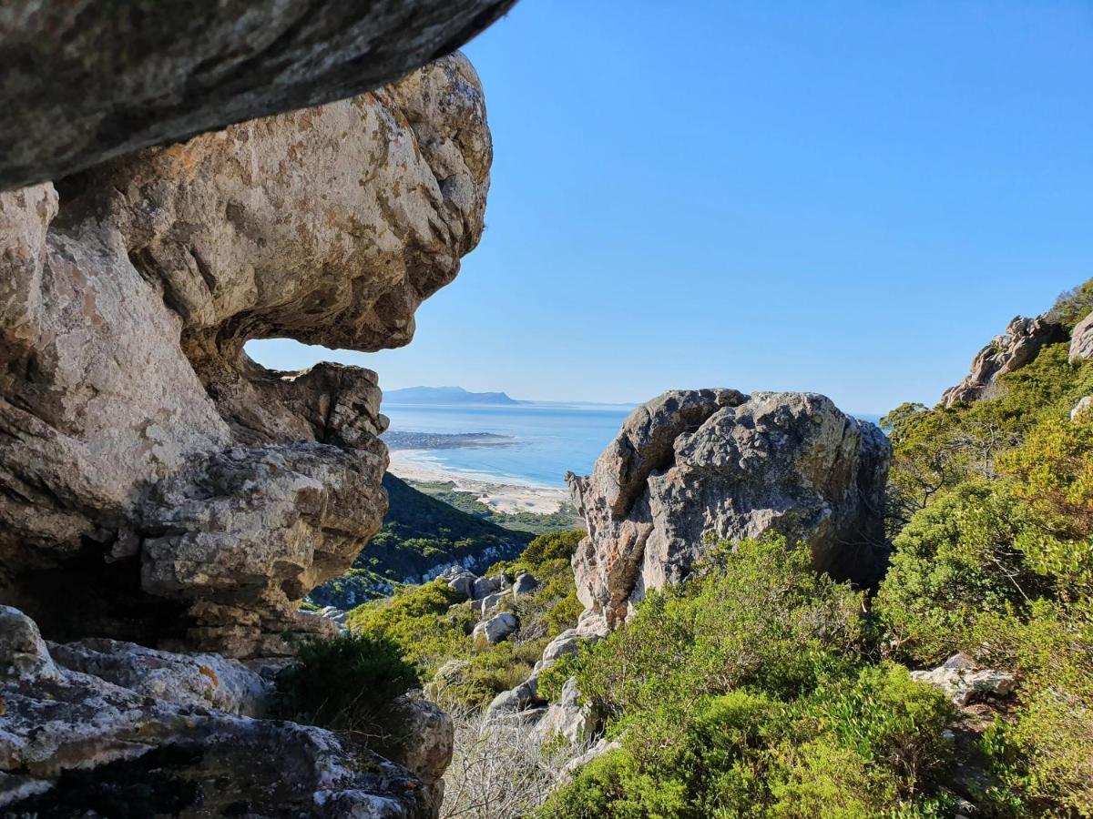 Apartmán Kleinblom In Pringle Pringle Bay Exteriér fotografie