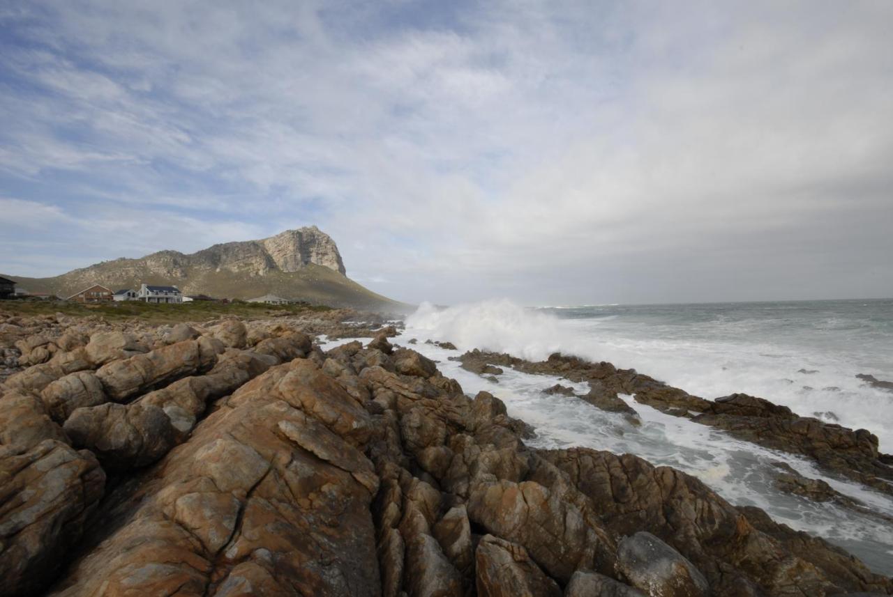 Apartmán Kleinblom In Pringle Pringle Bay Exteriér fotografie