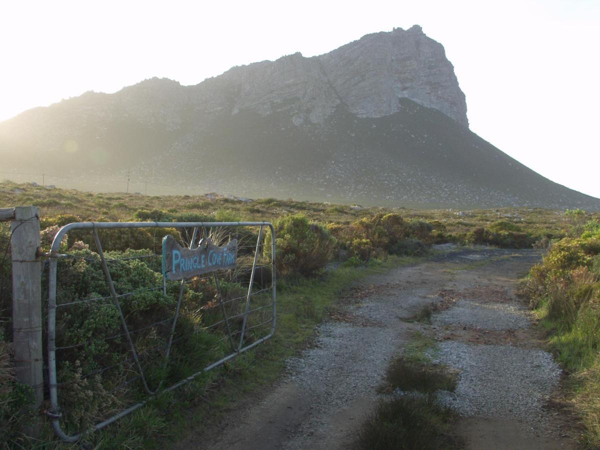 Apartmán Kleinblom In Pringle Pringle Bay Exteriér fotografie