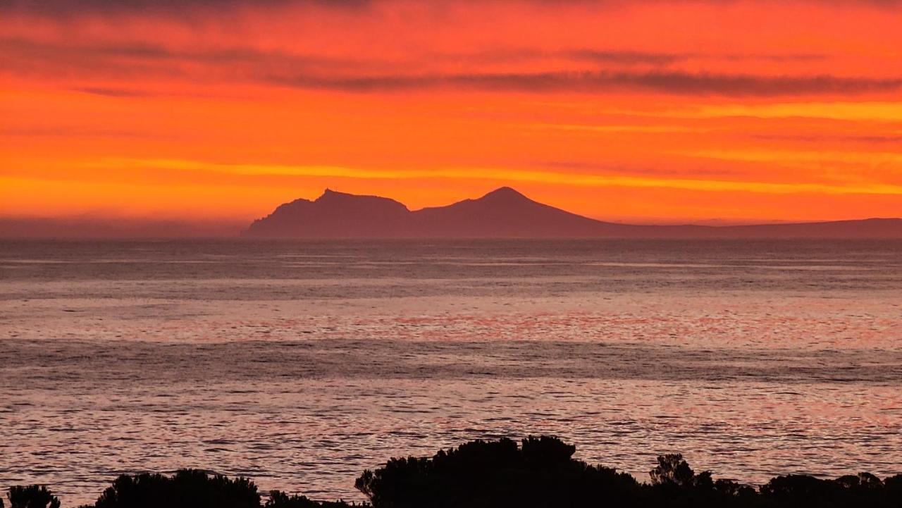 Apartmán Kleinblom In Pringle Pringle Bay Exteriér fotografie
