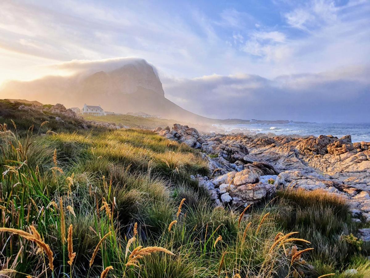 Apartmán Kleinblom In Pringle Pringle Bay Exteriér fotografie